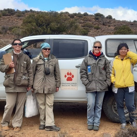 The EWT’s Drylands Conservation Programme recently joined forces with Dr Sue Milton, Karoo ecologist and botanist, to characterise Riverine Rabbit habitat in the Succulent Karoo and Renosterveld.  Our aim is to understand the exact habitat requirements of Riverine Rabbits in the southern- and eastern populations.